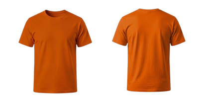 Budget T-shirt man